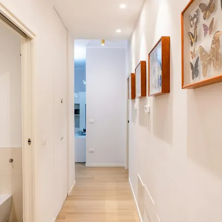 Daire Charm & Style - Large - *